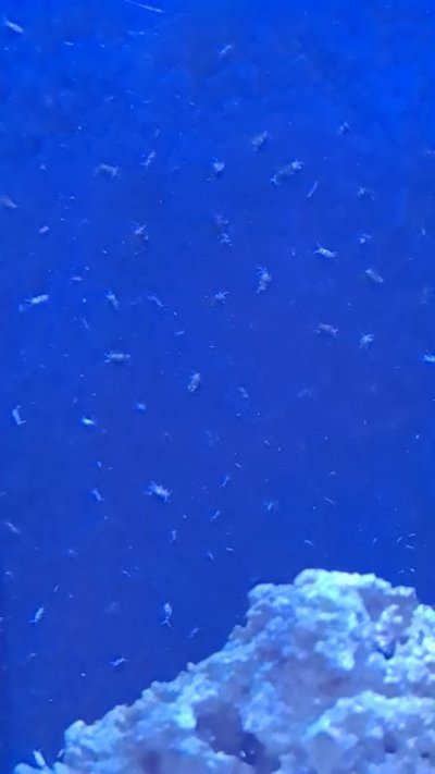 20210428_201427.jpg 20210428_201427.jpg