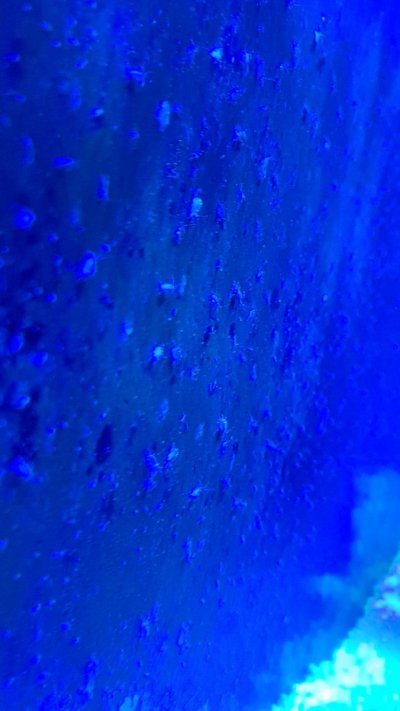 20210428_201351.jpg 20210428_201351.jpg
