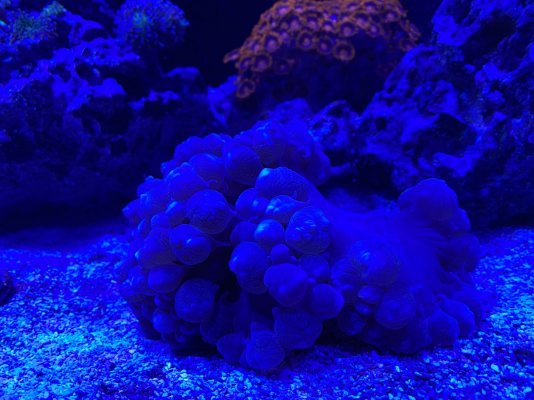 IMG_5383.jpg IMG_5383.jpg