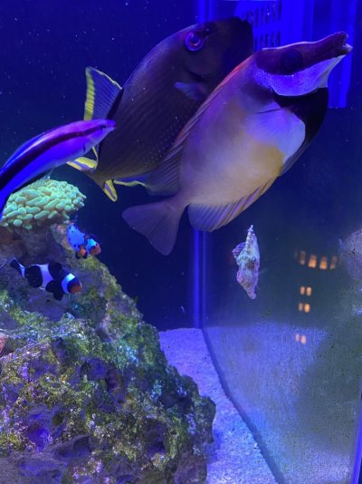 IMG_3505.jpg IMG_3505.jpg