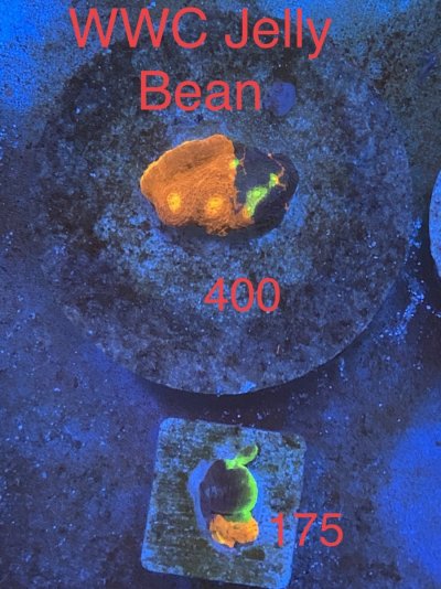 F0CD4D37-048F-46F7-BC12-6ABE89970F8C.jpeg F0CD4D37-048F-46F7-BC12-6ABE89970F8C.jpeg