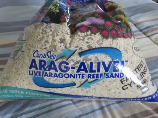 CaribSea Arag-Alive.JPG