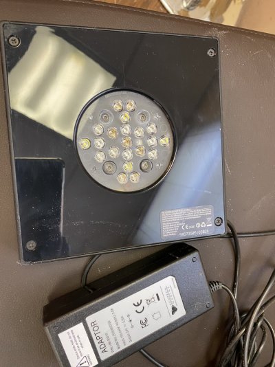 C930EF2F-2B74-4D29-857D-FDA3FF4C4CEA.jpeg C930EF2F-2B74-4D29-857D-FDA3FF4C4CEA.jpeg