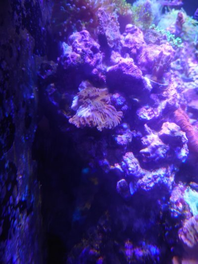 DSC_1314.JPG DSC_1314.JPG