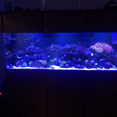 180g whole tank on 2021-03-01.JPG