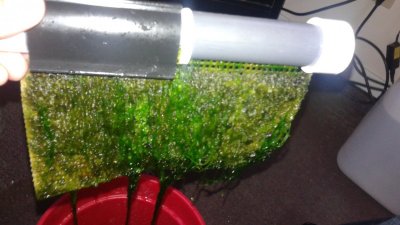 2015-09-02 (2).jpg