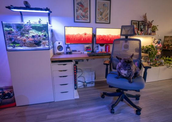 Flexispot_5.jpg Flexispot_5.jpg