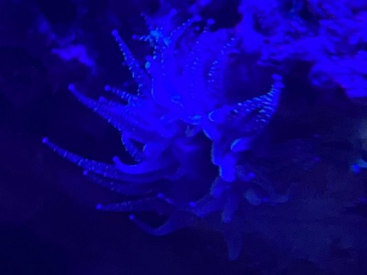 33DF71BA-4AD7-4353-AF09-E2B5517D6CF2.jpeg 33DF71BA-4AD7-4353-AF09-E2B5517D6CF2.jpeg