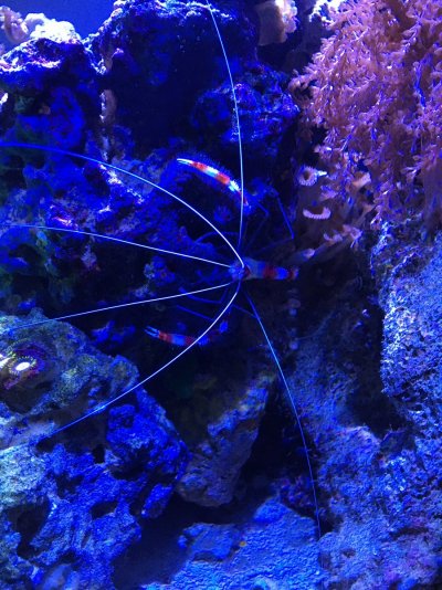 6B045604-4CA7-4AA0-92B5-7610E4352E65.jpeg 6B045604-4CA7-4AA0-92B5-7610E4352E65.jpeg