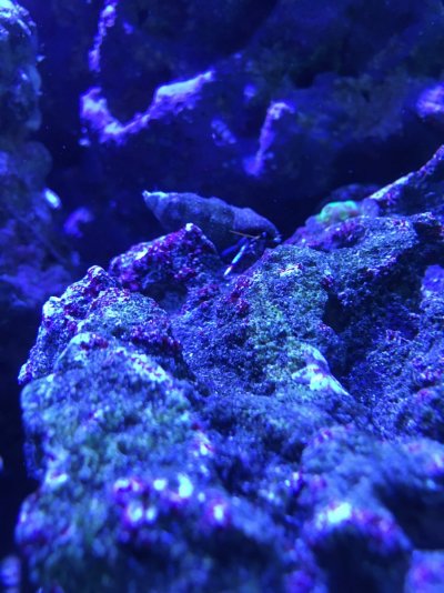 1375D500-3C90-44E1-AD53-8AE1429436B3.jpeg 1375D500-3C90-44E1-AD53-8AE1429436B3.jpeg