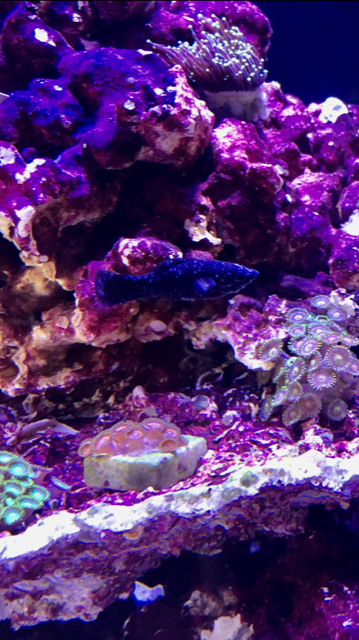 IMG_5638.PNG IMG_5638.PNG