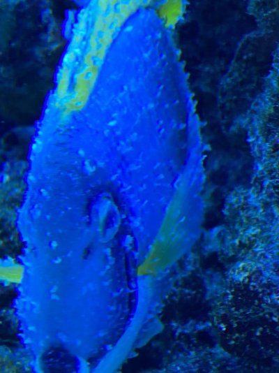 IMG_6261.jpg IMG_6261.jpg