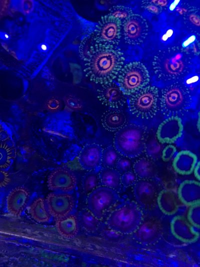 22E3CEC4-D9D5-4949-87D9-259529B01D14.jpeg 22E3CEC4-D9D5-4949-87D9-259529B01D14.jpeg