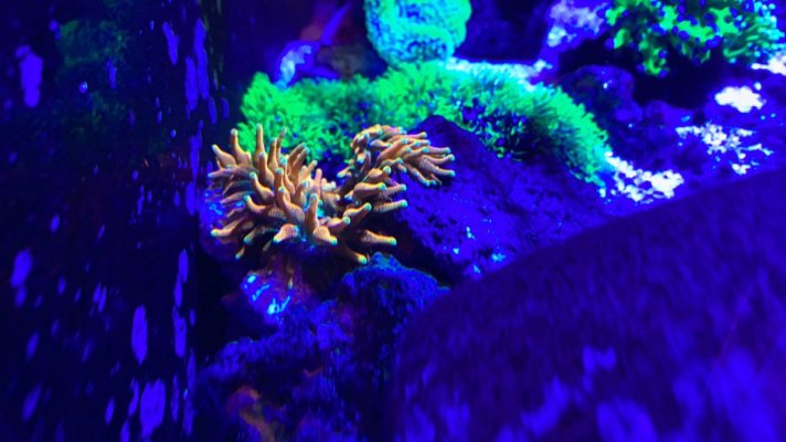 59D855F0-9007-40EC-8351-3152F5135177.jpeg