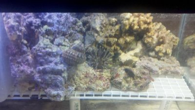 2012-07-30_19-18-46_313.jpg