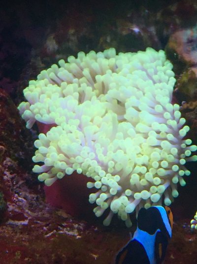 D0BC1211-8043-4037-9AA7-227AB5C54AEF.jpeg D0BC1211-8043-4037-9AA7-227AB5C54AEF.jpeg