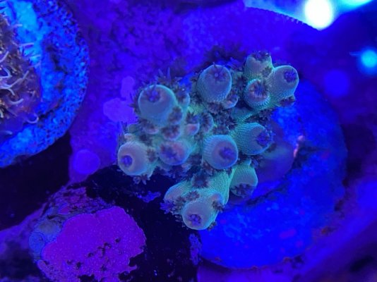 IMG_3169.JPEG IMG_3169.JPEG
