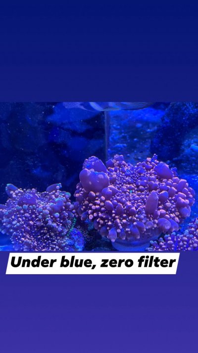 26926922-D4D6-43B2-A67F-EF8AC20C5402.jpeg 26926922-D4D6-43B2-A67F-EF8AC20C5402.jpeg