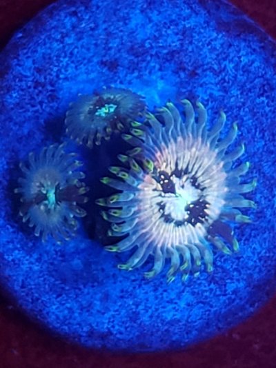 20210518_175358.jpg 20210518_175358.jpg