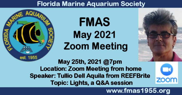 FMAS FB May 2021.jpg FMAS FB May 2021.jpg