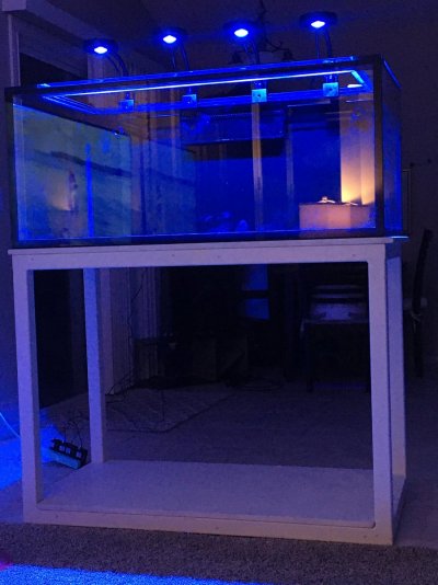 cda blue lights.JPG cda blue lights.JPG