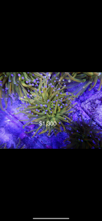 2A3C3B54-8D2D-4A8B-9CE3-886C0008FBC2.png 2A3C3B54-8D2D-4A8B-9CE3-886C0008FBC2.png