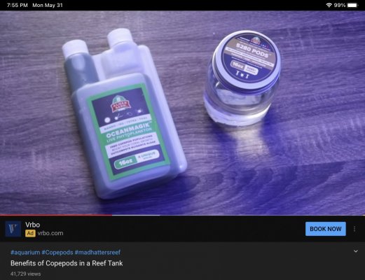 E70FF7AE-0DC7-41C1-982A-AD30DA532844.jpeg E70FF7AE-0DC7-41C1-982A-AD30DA532844.jpeg