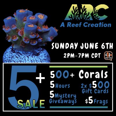 live sale 1000x1000.jpg live sale 1000x1000.jpg
