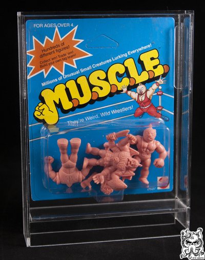 muscle 4-pack 01_watermark.jpg