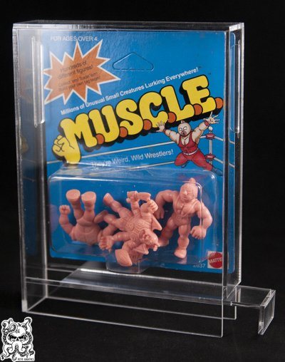 muscle 4-pack 02_watermark.jpg