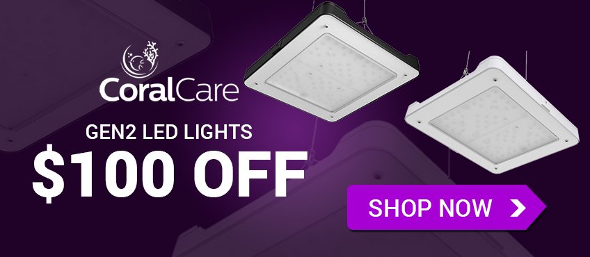 Home_ CV Sale_Phiips CoralCare.jpg Home_ CV Sale_Phiips CoralCare.jpg