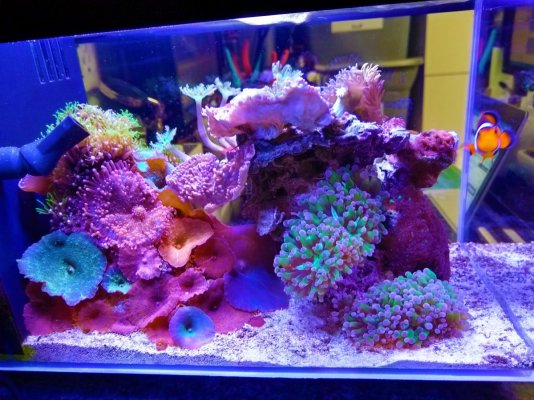 3gal-June2021-02.jpg