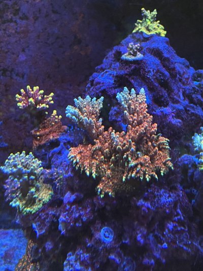 3D1146F0-C35C-406C-9864-5317FBFD01D4.jpeg