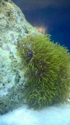 WP_20150922_017.JPG