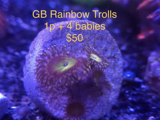DD77BC95-C401-4C88-A13A-3240FAFBB440.jpeg DD77BC95-C401-4C88-A13A-3240FAFBB440.jpeg