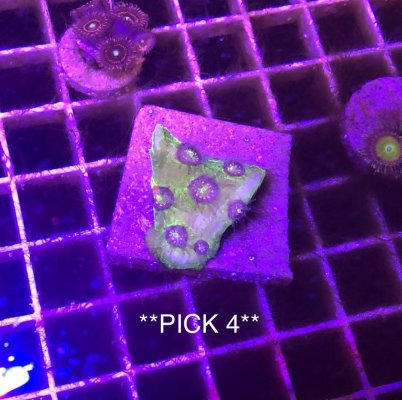 3D10E6A8-9849-4A3E-BC30-A0EC139C134A.jpeg 3D10E6A8-9849-4A3E-BC30-A0EC139C134A.jpeg