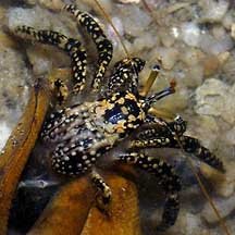 040619sntd0568m3.jpg 040619sntd0568m3.jpg
