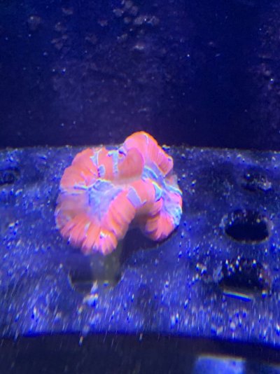 9B476611-3AB5-4F47-9A74-2FD70BCC92D4.jpeg 9B476611-3AB5-4F47-9A74-2FD70BCC92D4.jpeg