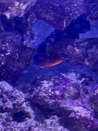 IMG_2162.jpg IMG_2162.jpg