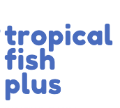 tropical_corals_plus_540x--1-scale-2.png