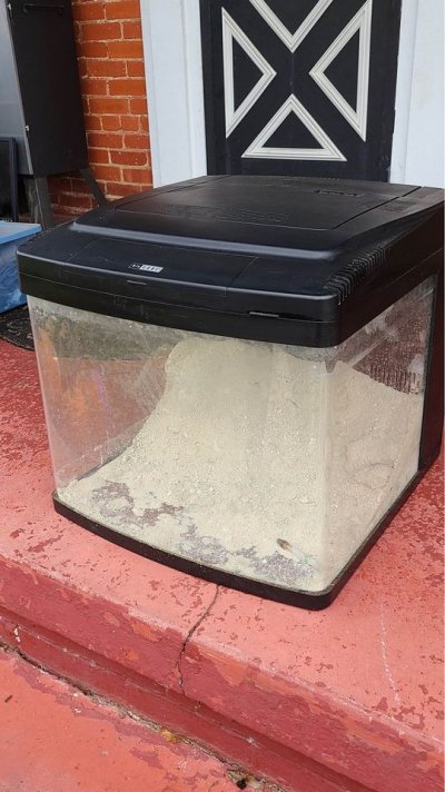 biocube 2.jpeg biocube 2.jpeg