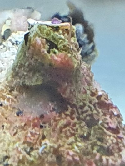 20210706_210107.jpg