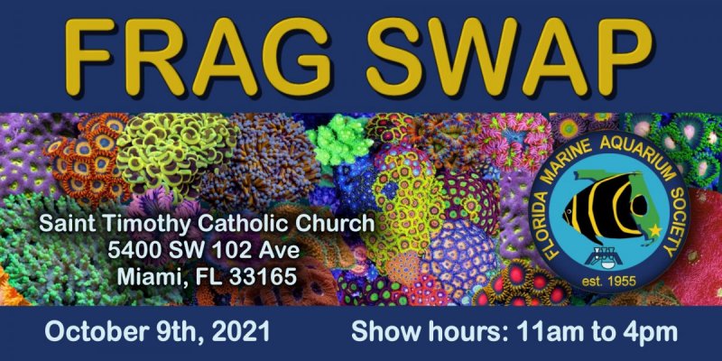 fragswap banner print (Large).jpg fragswap banner print (Large).jpg