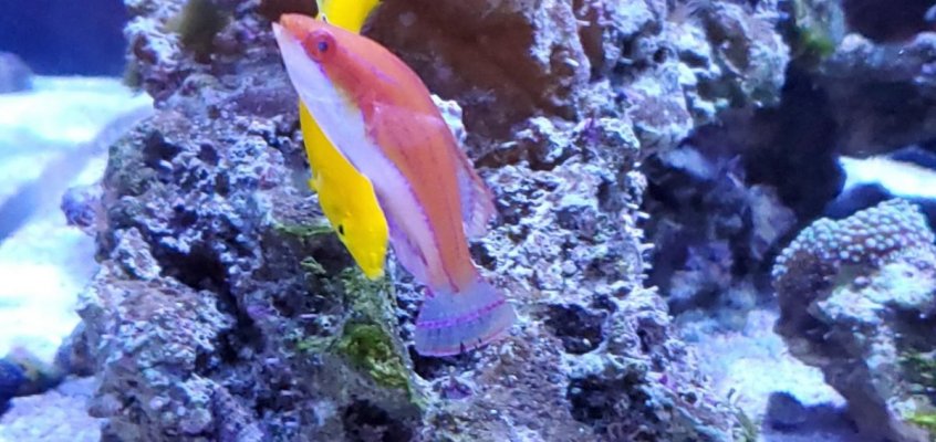 fishsale6.jpg fishsale6.jpg