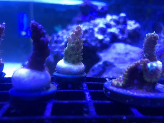 IMG_0365.JPG