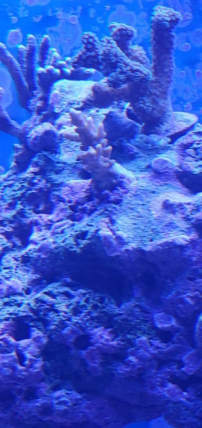 20210715_124637.jpg