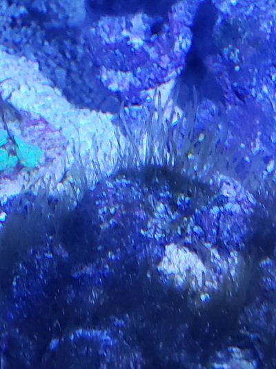 20210715_220635.jpg 20210715_220635.jpg