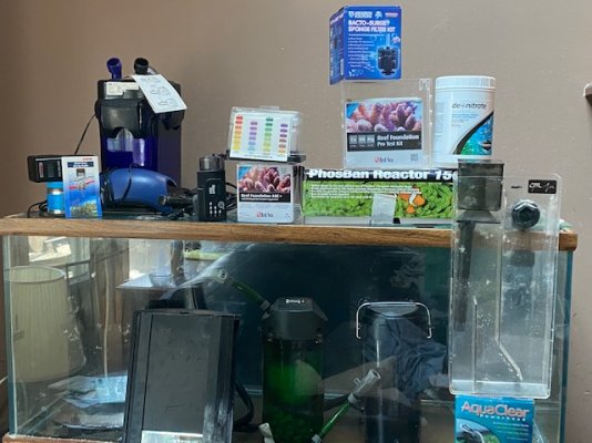 Fish Tank 1.jpg Fish Tank 1.jpg