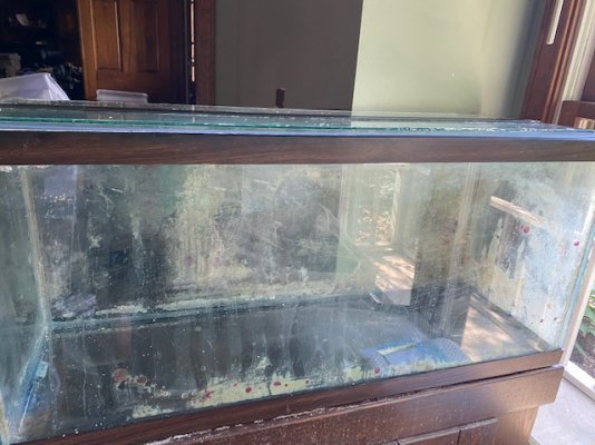 Fish Tank 4.jpg Fish Tank 4.jpg