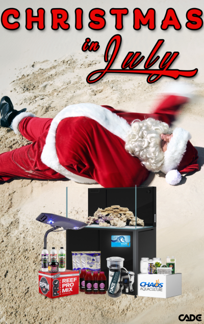 Christmas in July 2021 Mailchimp.png Christmas in July 2021 Mailchimp.png